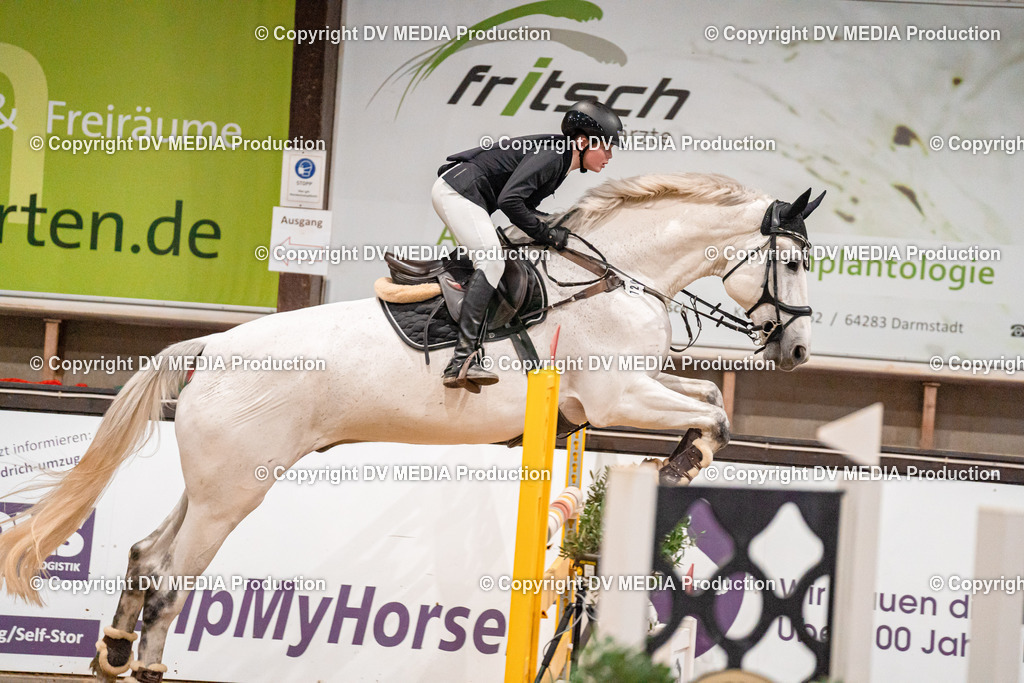 Kranichstein Tag 2-1122 | dv-media-shop - Realisiert mit Pictrs.com