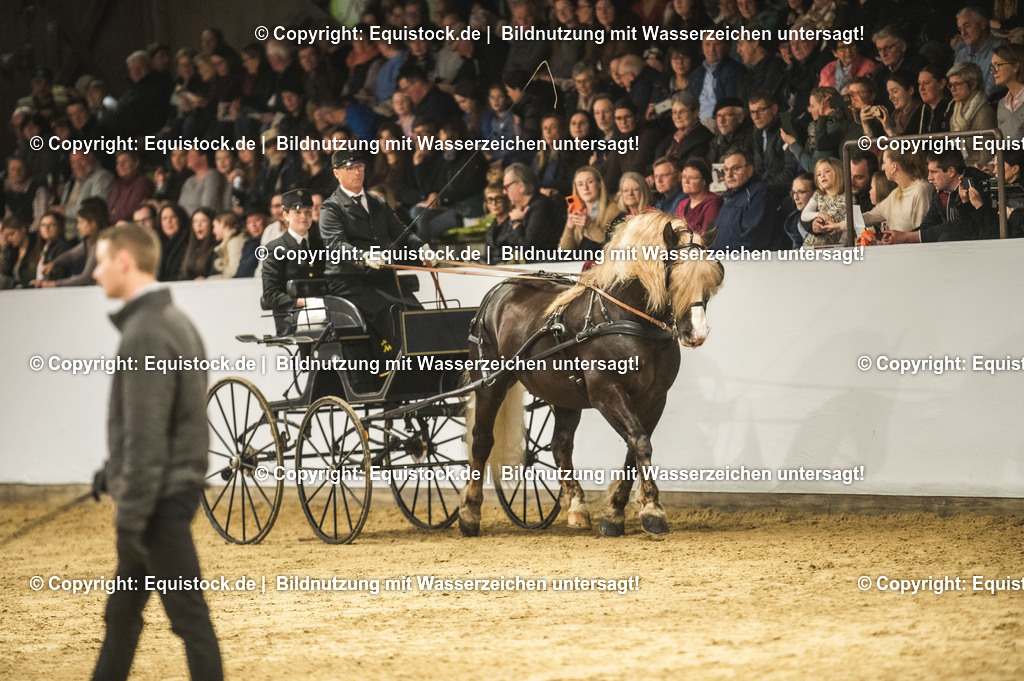 20240302_Hengstvorstellung_Marbach_TOMsPiC_0605-2 | equistock