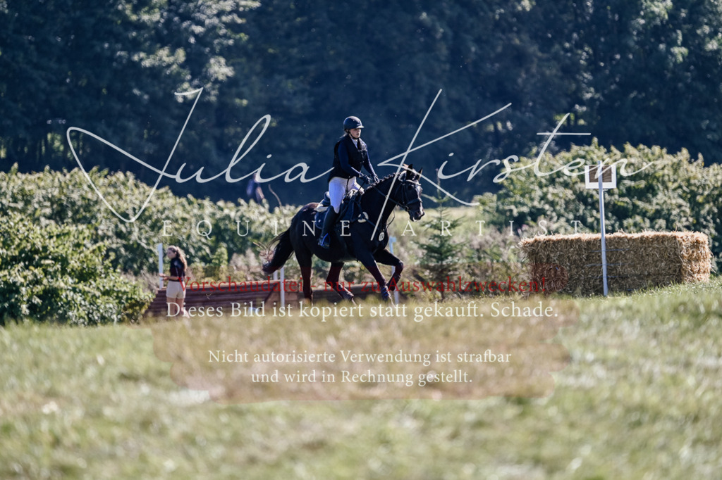 DSC_3228 | Pferde- und Turnierfotografie in Westsachsen. Pferdeportraits, Auftragszeichnungen und intuitive Kunst.