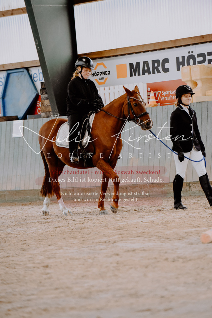 DSC_6659 | Pferde- und Turnierfotografie in Westsachsen. Pferdeportraits, Auftragszeichnungen und intuitive Kunst.
