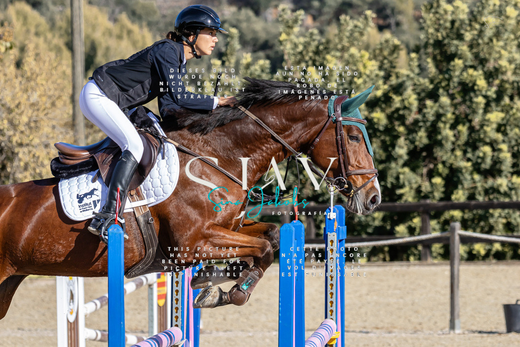 IMG_0046 | s-jay-photography - Realisiert mit Pictrs.com