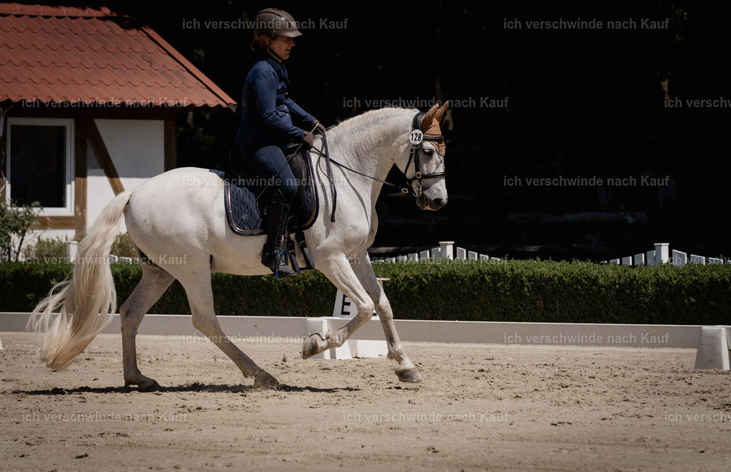 WE_DR_128_SinaFilmArt_IN03692 | working equitationturnier fotograf videograf stoibphotography marixx film working equitation deutschland reitsport turnierfotografie eventfotografie equestrian events