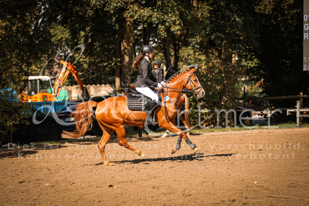 05.SaSpE00293 | Leoni Ertmer Photography - Realisiert mit Pictrs.com