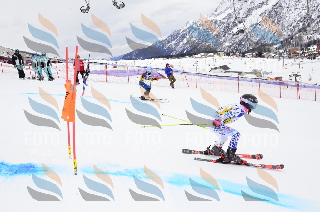 _ELE4106 | holidayphoto