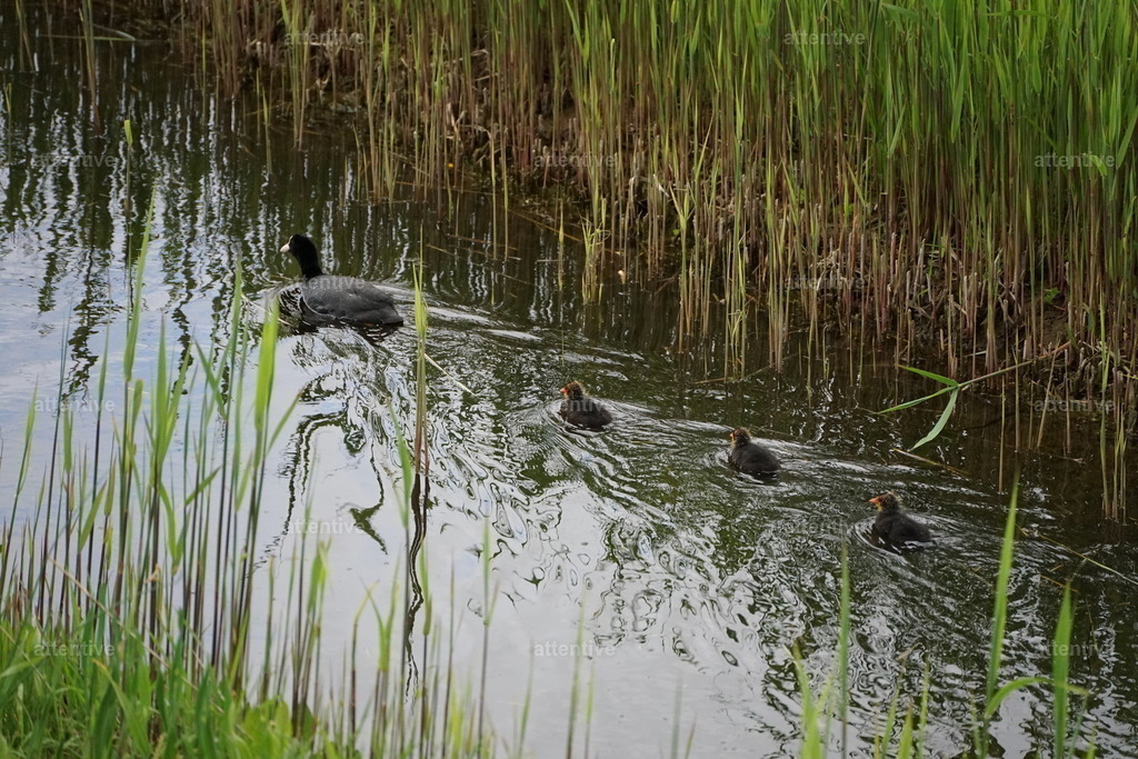 Famliy | Fehmarn, Deutschland - Realisiert mit Pictrs.com