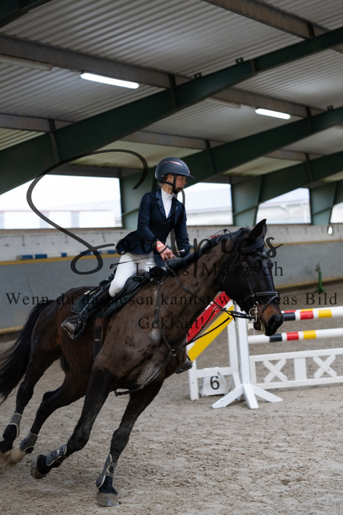 A7V04413 | Pferdefotograf