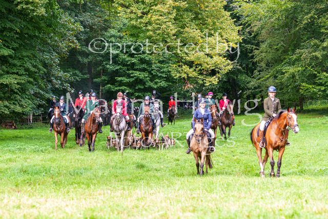 Jagd Perdoel 26 Sony-04155_MarinaHewig | Fotografie, FotoArt, PferdesportArt, Pferdesportfotografie, Landschaftsfotografie, Reisefotografie, Reise, Pferde - Realisiert mit Pictrs.com