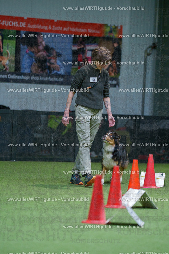 7R506029 | Professionelle Tierfotografie in Mönchengladbach von Daniel Wirth (allesWIRTHgut). Liebevolle & natürliche Bilder von Hunden & Katzen für unvergessliche Erinnerungen.