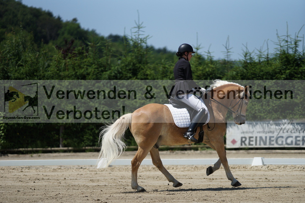 DSC03518 | equestrian-live-com