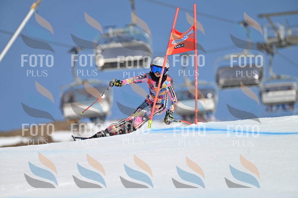 BGV_8255 | holidayphoto