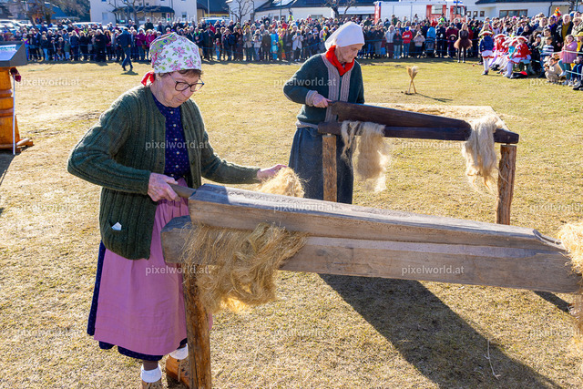 Bärentreiben in Steuerberg | Bildershop von pixelworld.at - Realisiert mit Pictrs.com