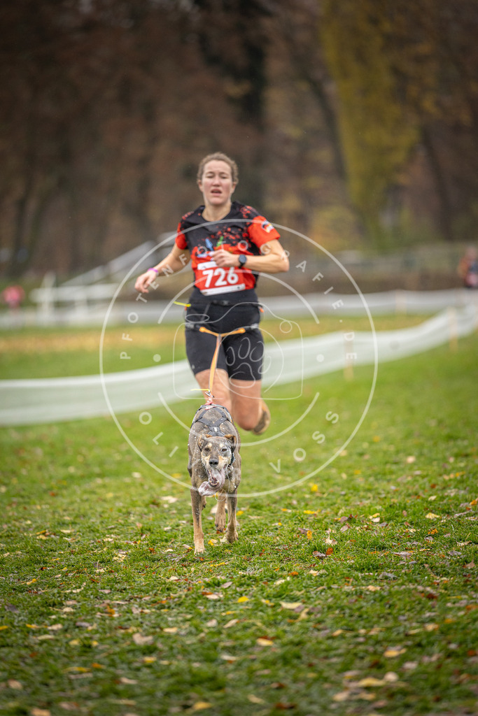 CaniXpix_DV3A9278 | Hundefotografie, Tierfotograf, Pfotenfotografie, Fotoshooting Hund, Hunde Portrait, Hundesport, Hundeportraits, Heideshooting, Hunde, Sportfotograf, Hundefotograf, Turnierhundsport, THS,  - Realisiert mit Pictrs.com