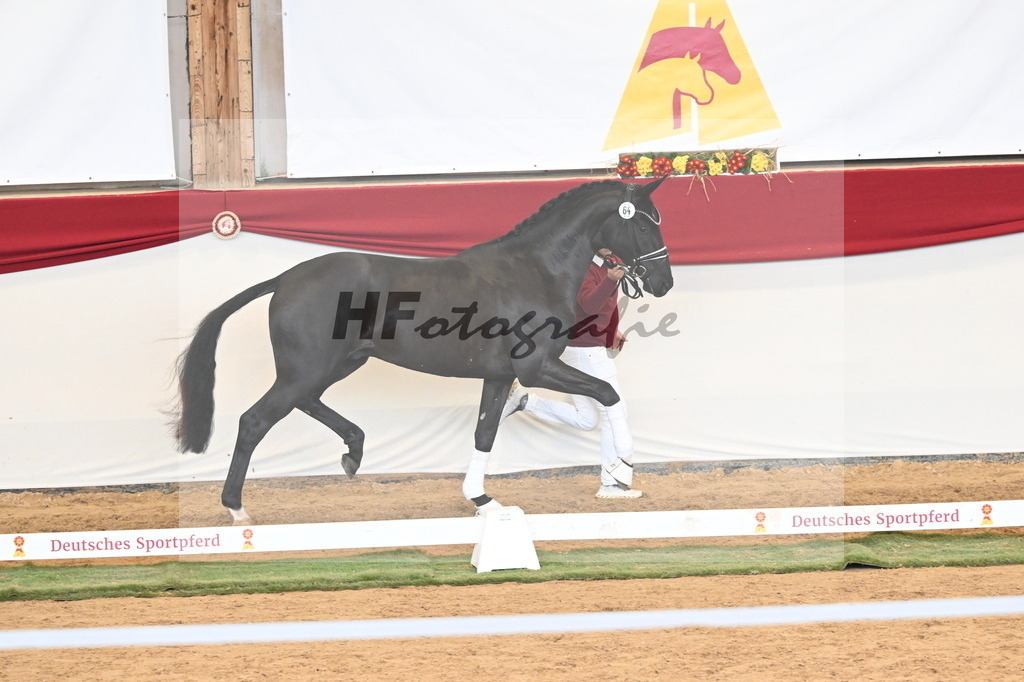 Kat.-Nr. 64 v. Fürst Samarant_Beckmann_3260930 | hf-fotografie - Realisiert mit Pictrs.com