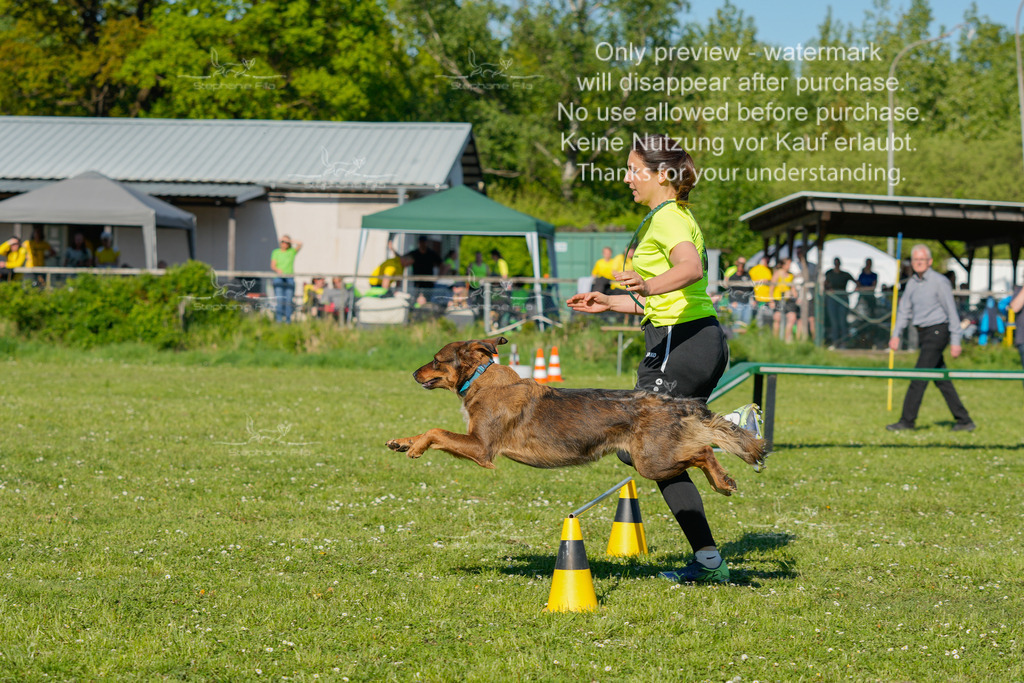 Sa_CSC-427 | stephaniefillaphotographie - Realisiert mit Pictrs.com