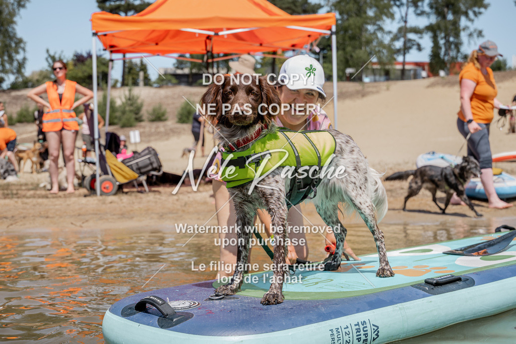 nelerasche_saSUP1_136 | nelerasche