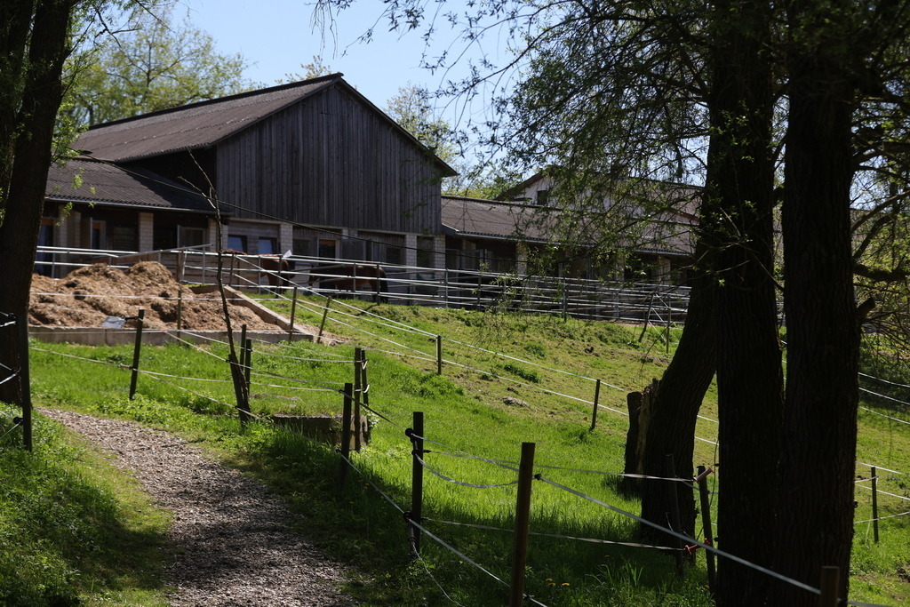 0P6A8958 | Willkommen bei Brunnmayr - Design & Fotografie – Ihrem Spezialisten für Reitturniere und Pferdeveranstaltungen in Oberösterreich, Salzburg und Bayern! Seit über 17 Jahren sind wir leidenschaftlich dabei.