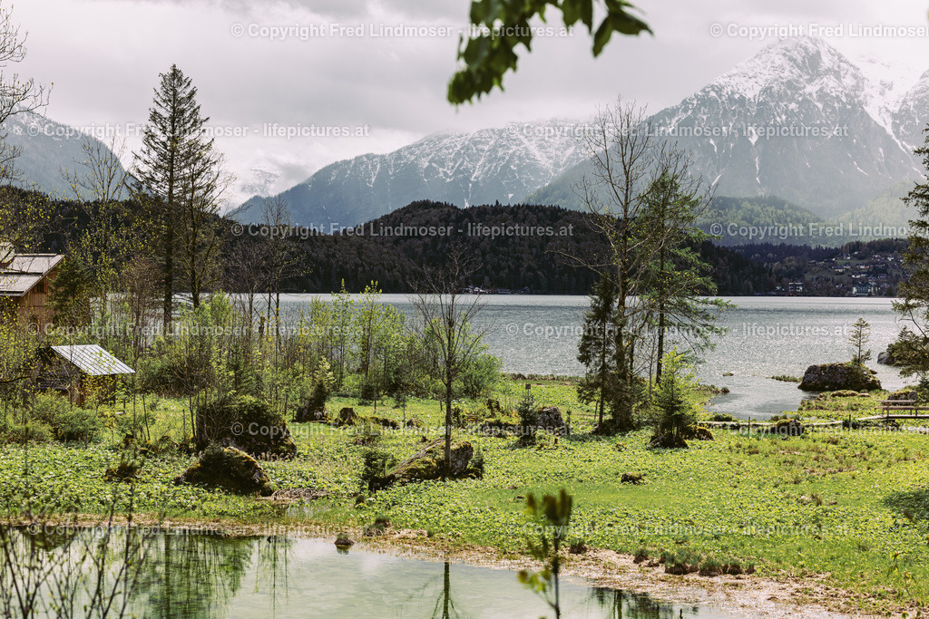 Altaussee-4214 | Fotos und Fotoprodukte - Realisiert mit Pictrs.com