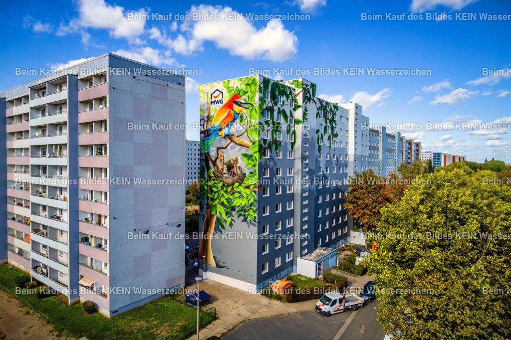 MWG Kannenstieg-0003 | Luftbild des Baumhauses im Kannenstieg in der Landeshauptstadt Magdeburg in Sachsen-Anhalt. Die besondere Wohnanlage ist von viel Grün umgeben und zeigt eine ungewöhnliche Seite des Magdeburger Stadtteils. - Realisiert mit Pictrs.com