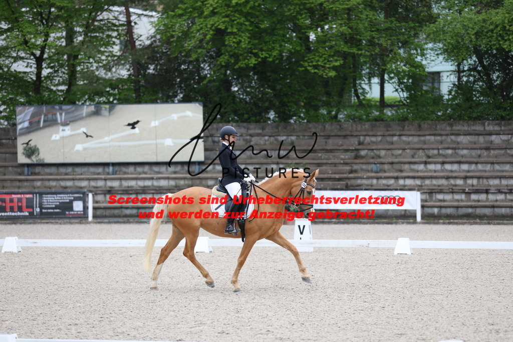 A40A7026 | lmwpictures - Realisiert mit Pictrs.com