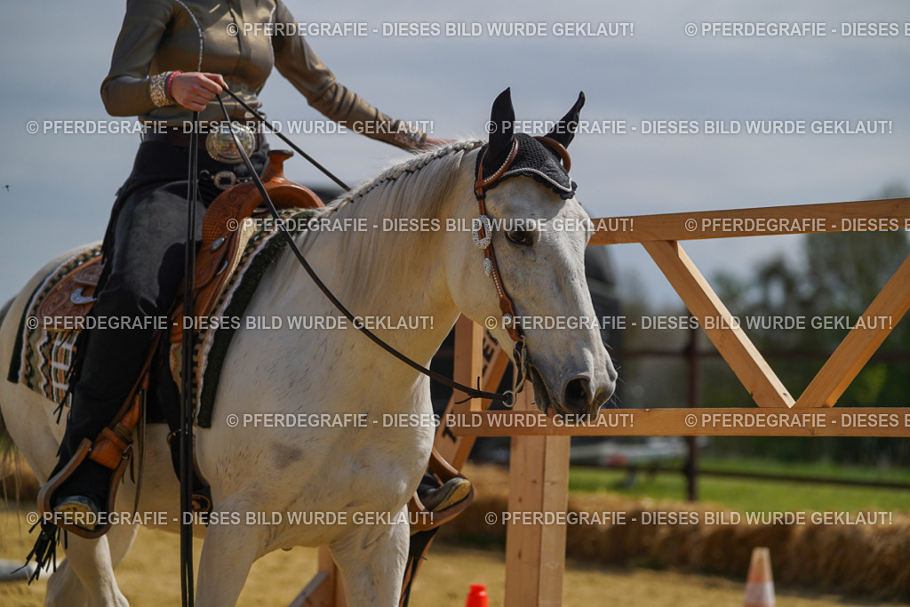 DSC04692 | Pferdegrafie