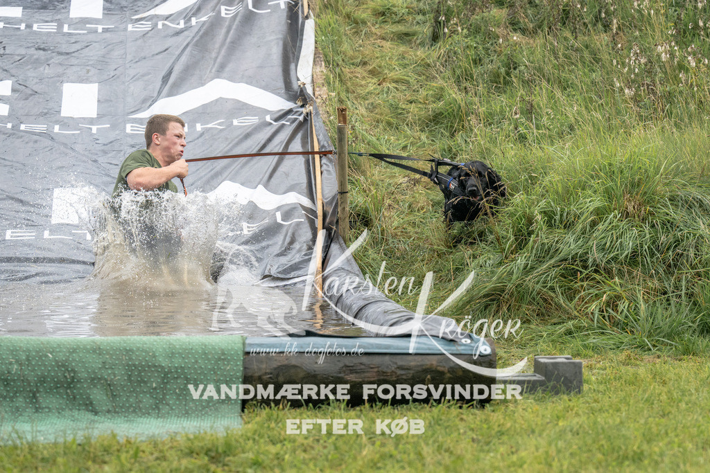 1400_ZZ93757 | kk-dogfotos