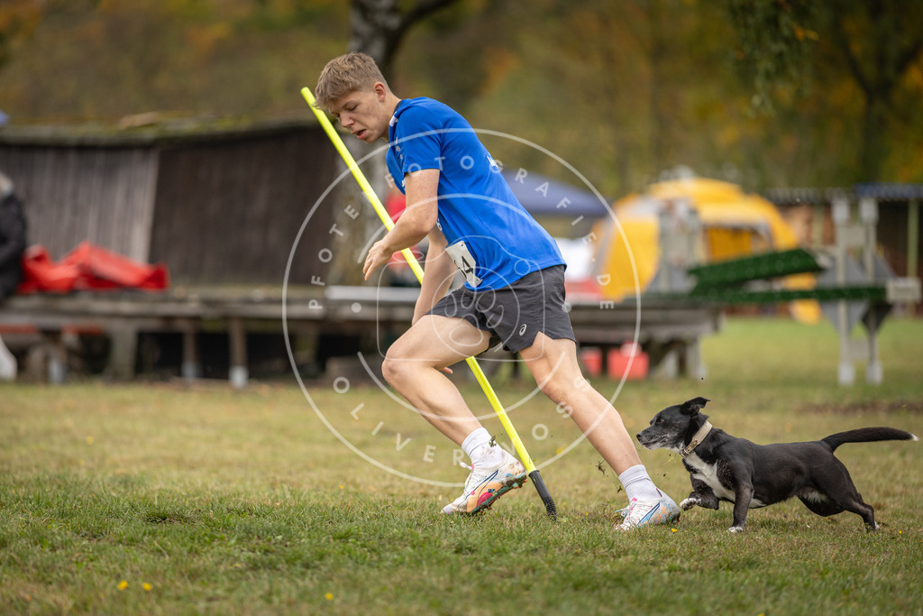 Pfotenfotografie_DV3A5034 | Hundefotografie, Tierfotograf, Pfotenfotografie, Fotoshooting Hund, Hunde Portrait, Hundesport, Hundeportraits, Heideshooting, Hunde, Sportfotograf, Hundefotograf, Turnierhundsport, THS,  - Realisiert mit Pictrs.com