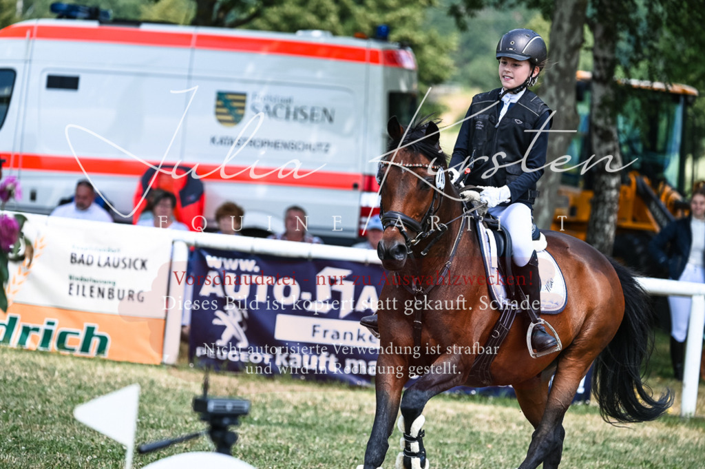 DSC_9644 | Pferde- und Turnierfotografie in Westsachsen. Pferdeportraits, Auftragszeichnungen und intuitive Kunst.