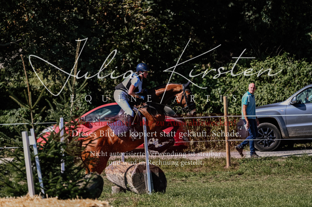 DSC_1995 | Pferde- und Turnierfotografie in Westsachsen. Pferdeportraits, Auftragszeichnungen und intuitive Kunst.