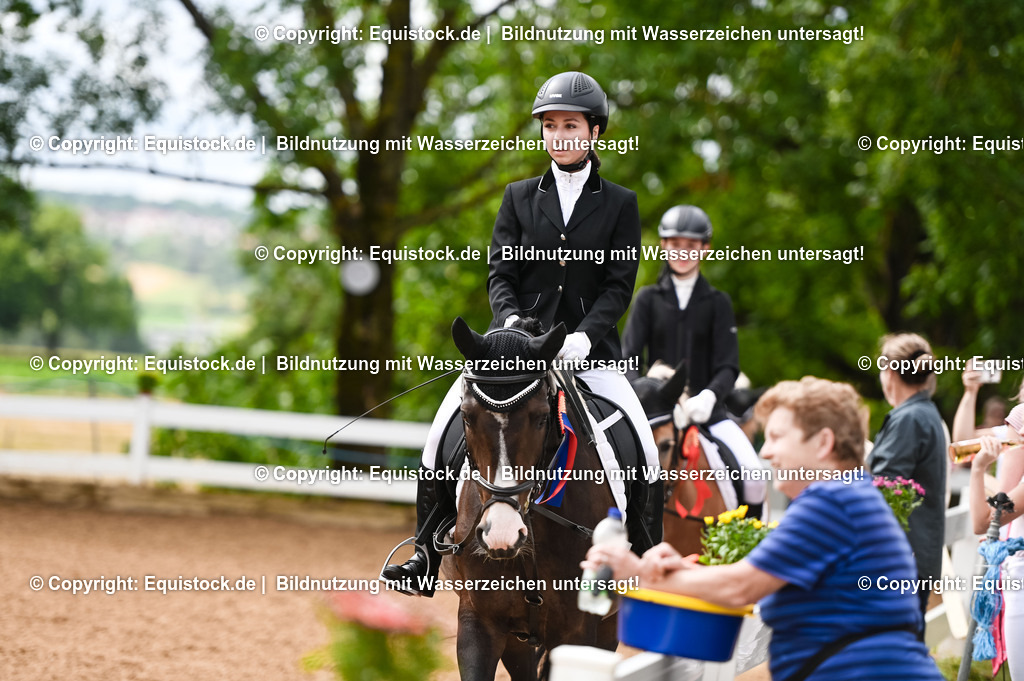 20230716_10-1_Reiter-WB Schritt - Trab - Galopp_0285 | equistock