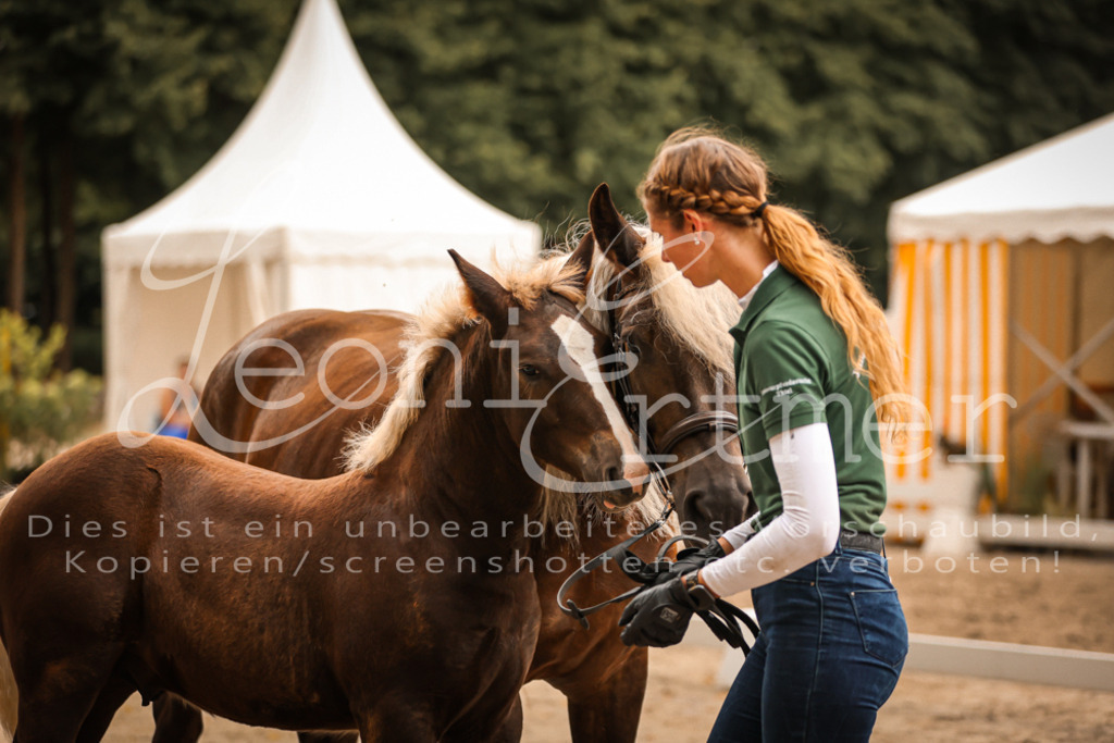 SaHF00098 | Leoni Ertmer Photography - Realisiert mit Pictrs.com