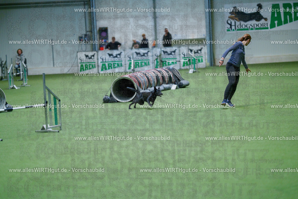 @allesWIRTHgut_Tierfotografie - www.allesWIRTHgut.de - 2604250934-7R508471 | Professionelle Tierfotografie in Mönchengladbach von Daniel Wirth (allesWIRTHgut). Liebevolle & natürliche Bilder von Hunden & Katzen für unvergessliche Erinnerungen.
