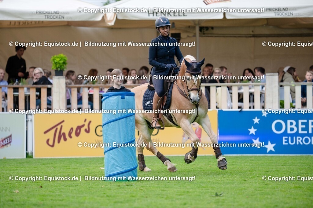 20250606_Lange-Pferdenacht_0307 | Foto: Thomas Hartig
