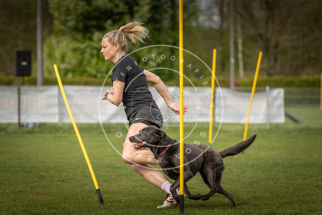 Pfotenfotografie_DV3A5411 | Hundefotografie, Tierfotograf, Pfotenfotografie, Fotoshooting Hund, Hunde Portrait, Hundesport, Hundeportraits, Heideshooting, Hunde, Sportfotograf, Hundefotograf, Turnierhundsport, THS,  - Realisiert mit Pictrs.com