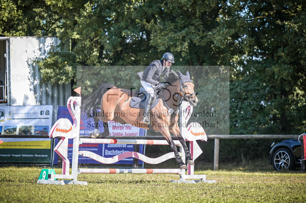 DOS_1212 | Entdecke hochwertige Reitturnierfotos von Foto Oger. Professionell, emotional und authentisch – jetzt Lieblingsmomente im Shop bestellen.Deutschlandweite Turnierfotografie. - Realisiert mit Pictrs.com