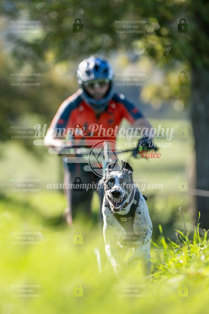 MompixPhotography_20TSB_E3_DS1-63 | PayLife