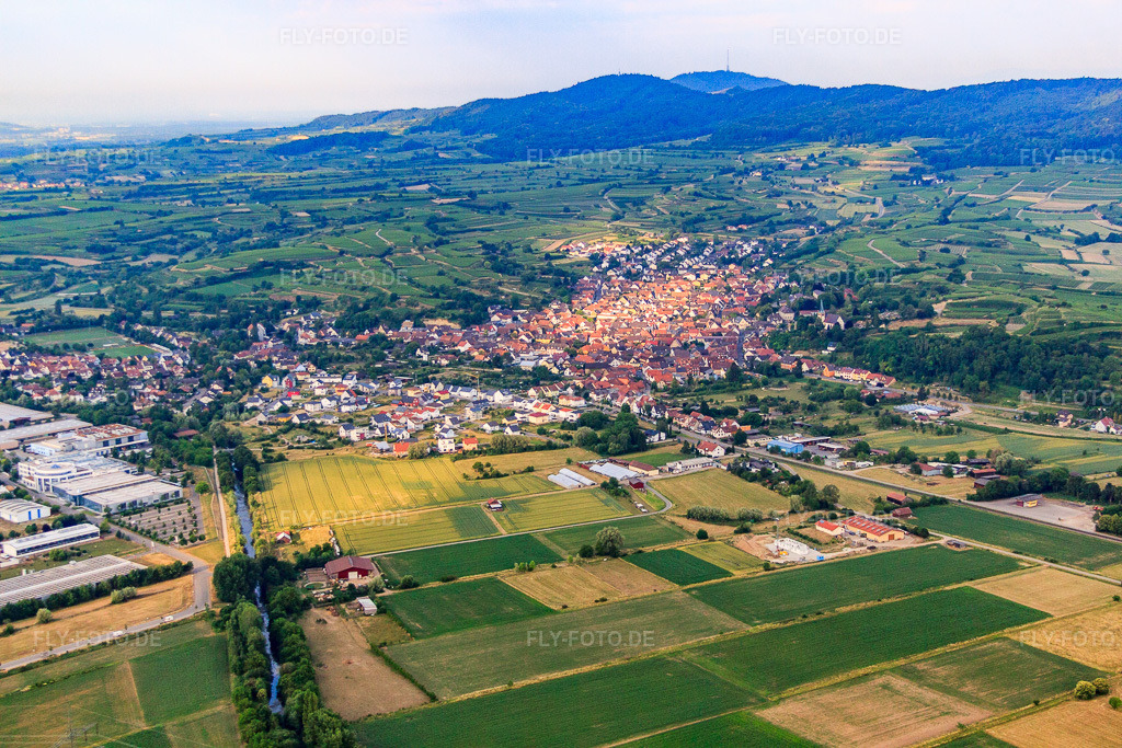 Luftbild: Ortsansicht am Kaiserstuhl aus Norden in Bahlingen am Kaiserstuhl im Bundesland Baden-Württemberg in Deutschland. Foto: IMG_68171.jpg vom 19.06.2014 durch Werner Riehm/FLY-FOTO.de