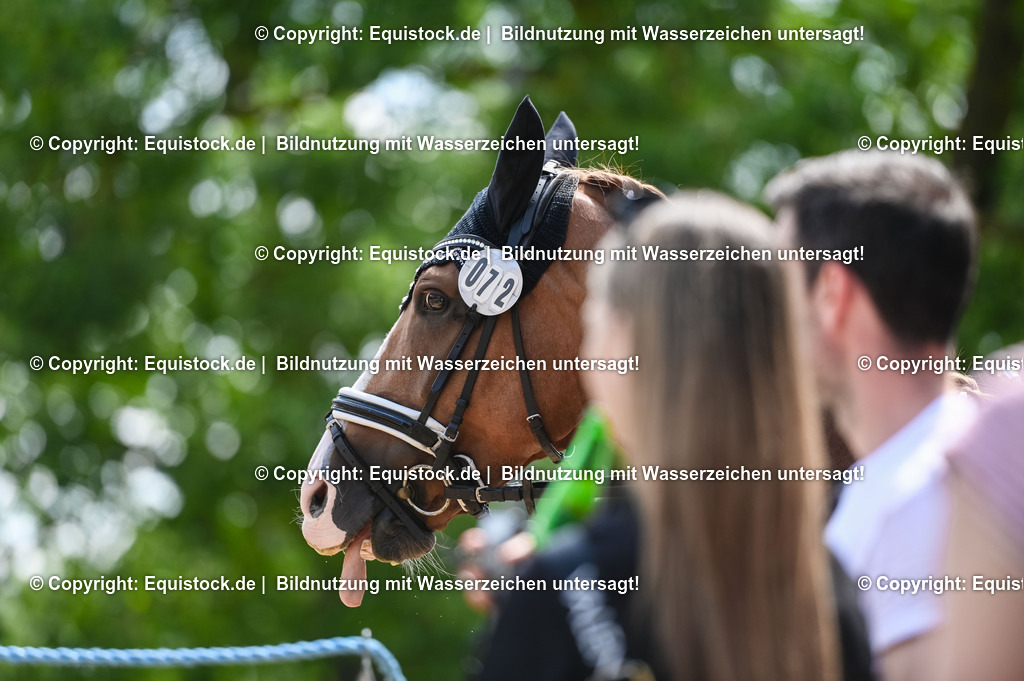 20230716_03_Dressurprfg. Kl.L - Tr._0461 | equistock