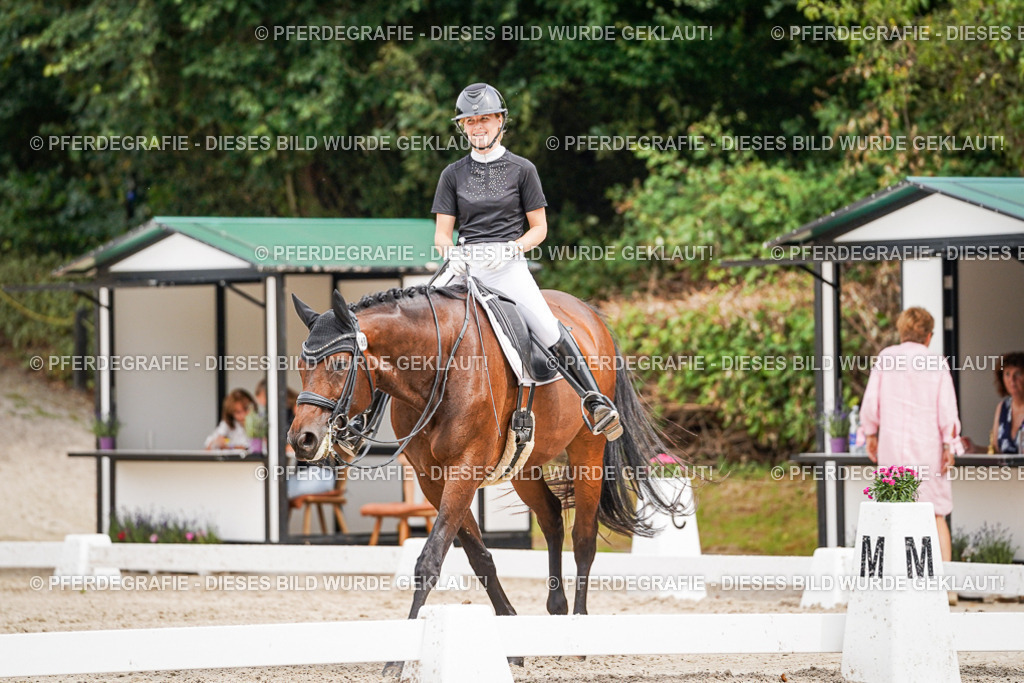 DSC06167 | Pferdegrafie