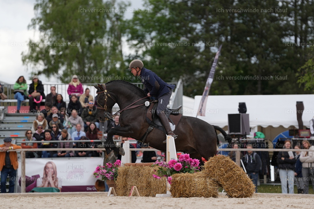 PI26_ST_Jan_Picutures7C_08109.JPG | working equitationturnier fotograf videograf stoibphotography marixx film working equitation deutschland reitsport turnierfotografie eventfotografie equestrian events