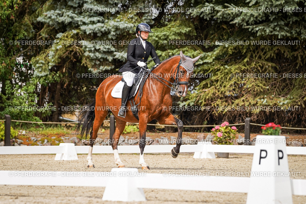 DSC05425 | Pferdegrafie