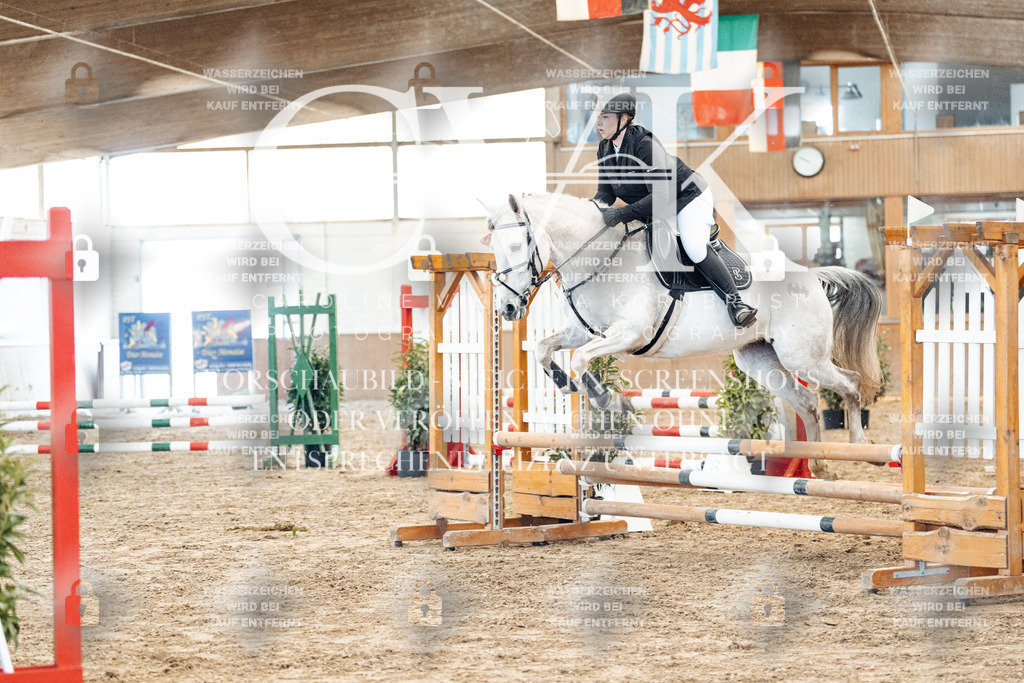 CK903989 | Turnierfotografie Pferdefotografie Trier Rheinland-Pfalz Pferdesport Reitsport Tierfotografie Sportfotografie Pferdevideo Pferdevideografie Equestrianvideography equestrianphotography  - Realized with Pictrs.com