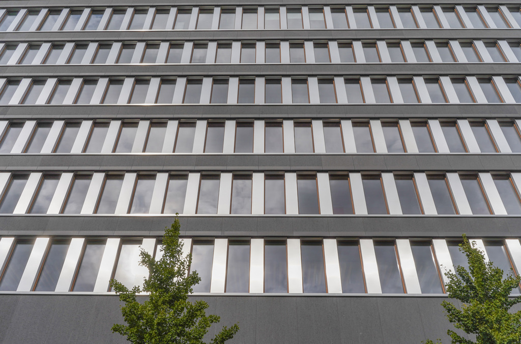 2021_10_06 DSC05230 | bridgeman - Realisiert mit Pictrs.com