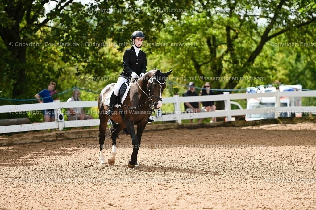 20230716_10-1_Reiter-WB Schritt - Trab - Galopp_0117 | equistock