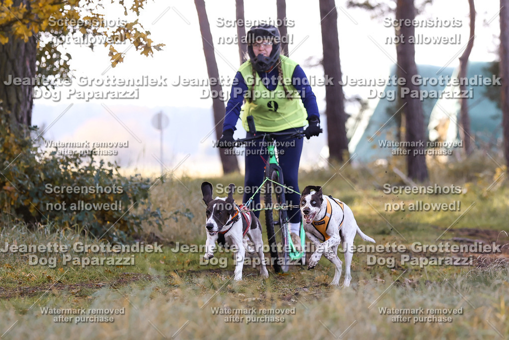 Dog Paparazzi - Elsholz 25 -59 | Dog Paparazzi Jeanette Grottendiek Fotografie & Videografie - Realisiert mit Pictrs.com