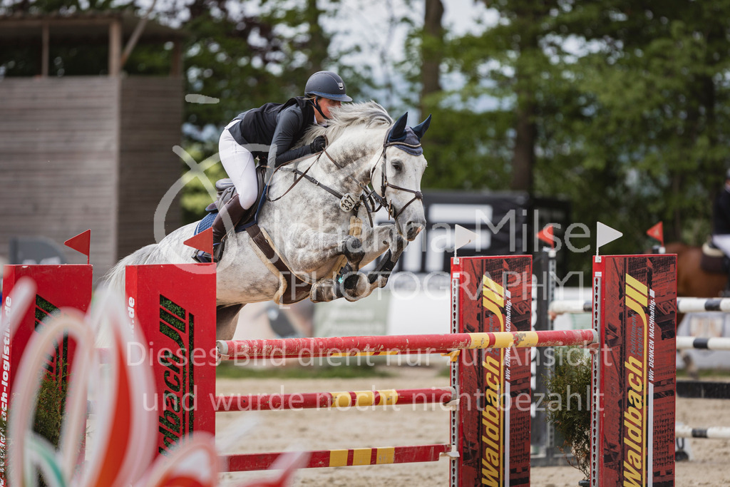 250504_SpengeW_M2-Spr-464 | Deine schönsten Turniermomente als professionelle Fotos! Entdecke hochwertige Pferdesport-Fotografie im Online-Shop. Jetzt Fotos finden & bestellen!