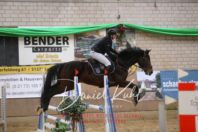 IMG_0703 | Turnierfotos kaufen im Webshop von Daniel Kuhl Photography – entdecke professionelle Reitsportfotos aus Turnieren & Events. Hochwertige Turnierbilder online bestellen & sichern. Jetzt Fotos von Reitsportturnieren kaufen!