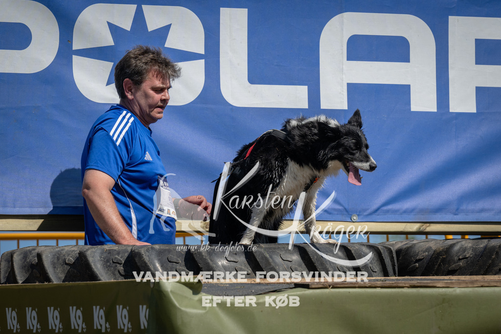 1226_ZZ95276 | kk-dogfotos