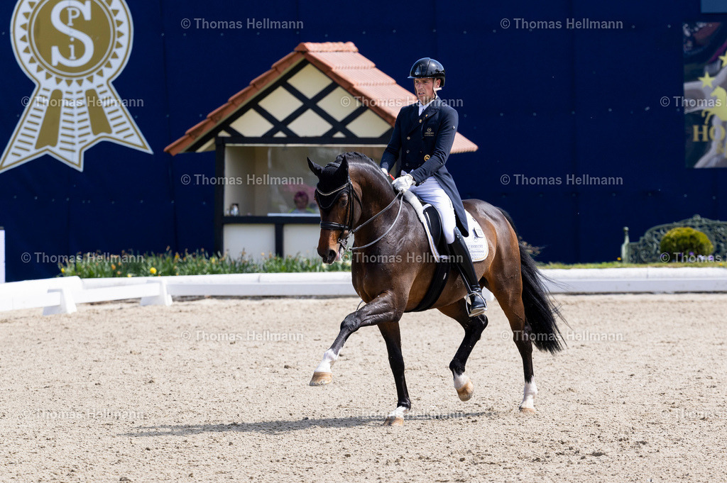 TH_333-WANDRES Frederic (GER)_ Fänomen de Malleret_36601 | Horses &amp; Dreams 2026 am 26.04.26 in Hagen a.T.W., Thomas Hellmann, 333WANDRES Frederic (GER), Fänomen de Malleret