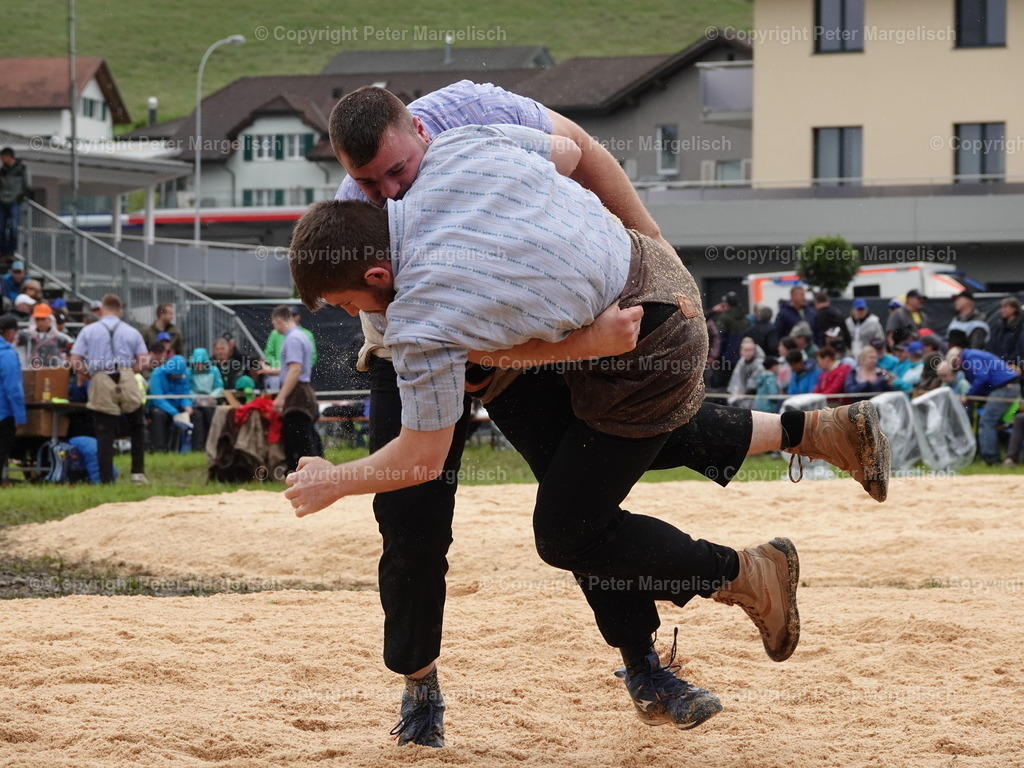 DSC07591 | Schwingen - Realisiert mit Pictrs.com