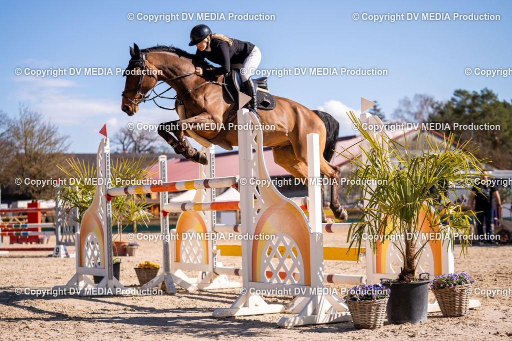 Kranichstein Tag 2-753 | dv-media-shop - Realisiert mit Pictrs.com